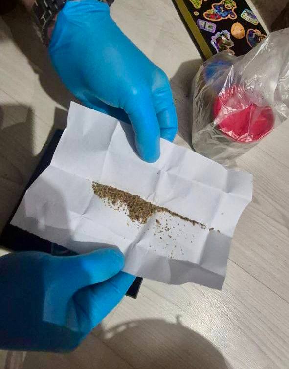 В Сочи задержали наркокурьера с 30 граммами «синтетики» и марихуаны В Сочи задержали наркокурьера с 30 граммами «синтетики» и марихуаны