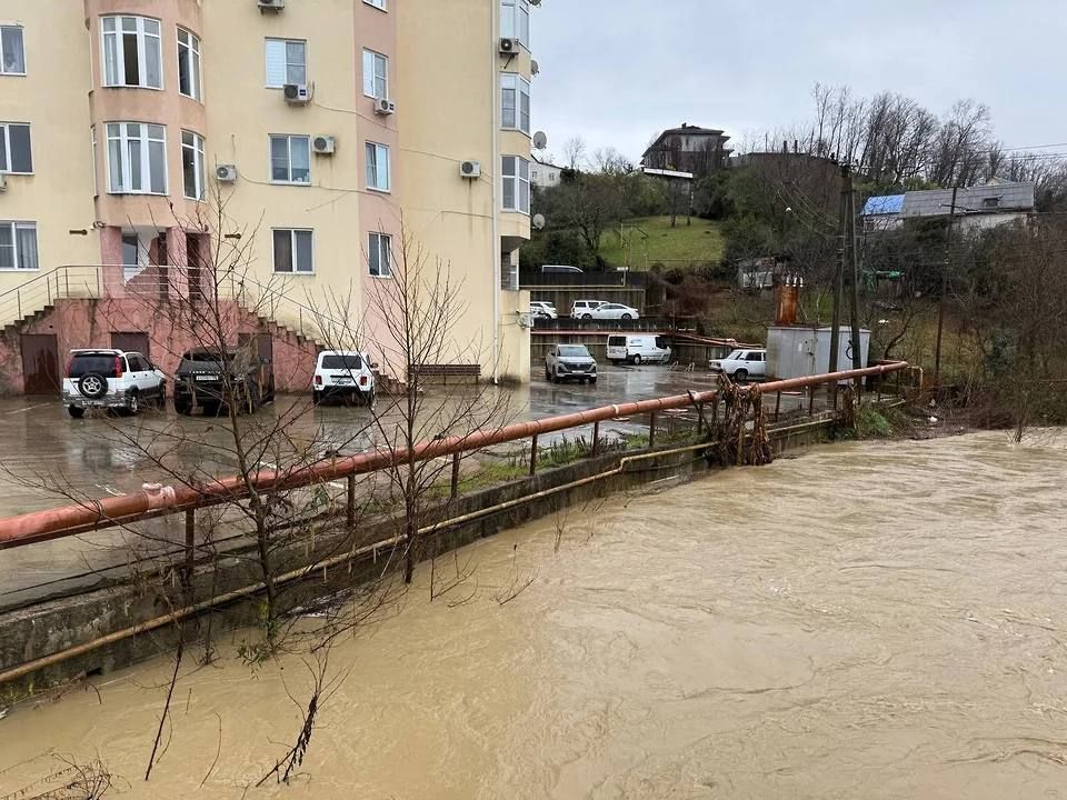 ����������� ��� �������������� ���� �� ���� ���������������� ������� � ���������� ��� ���������� 593,6 ��� ���