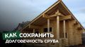 Как предотвратить синева на деревянном срубе: секреты успешного отбеливания