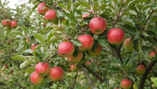 �������� ��������� ������ ����� � ������� ������� �������: ������� ������ ���������