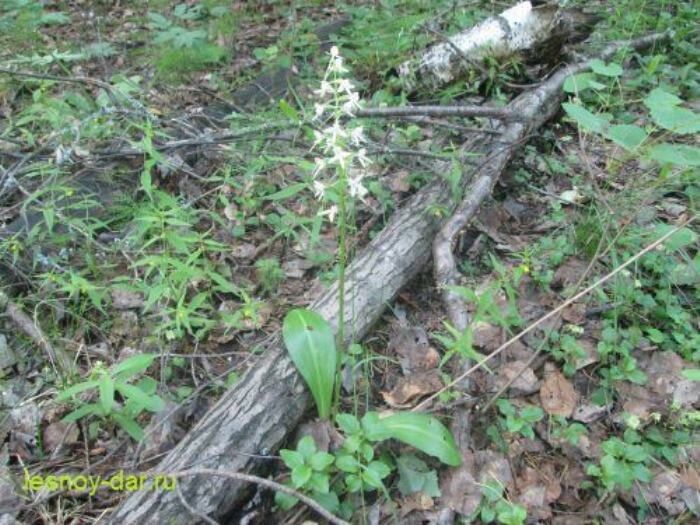 ���������� ����� ����������: ��� �������� ������ ������