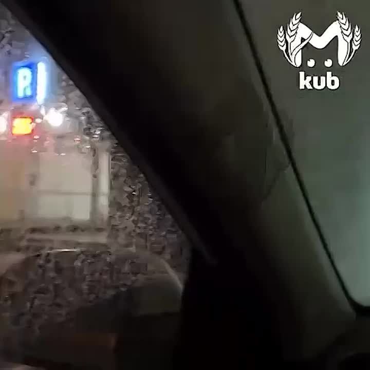 ����� �� ������ �������� ����