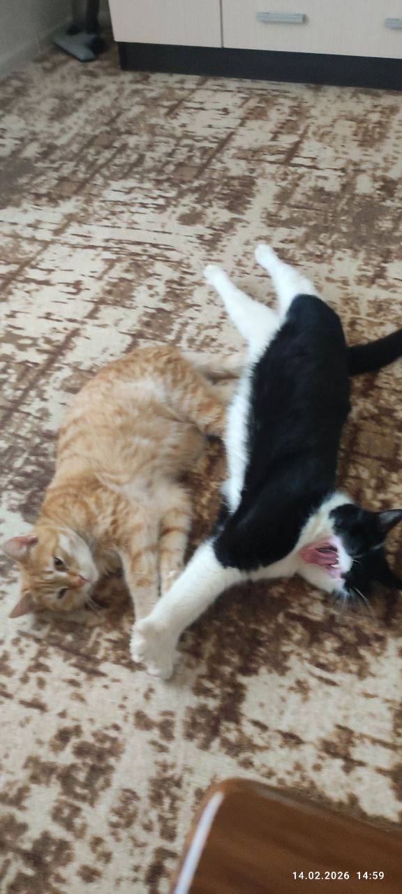 О погоде на 18 февраля. В Краснодарском крае облачно О погоде на 18 февраля. В Краснодарском крае облачно