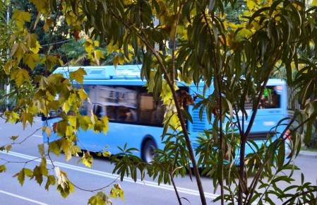 Доброе утро!. Среда Хорошего дня! ДТиДХ в Telegram | MAX