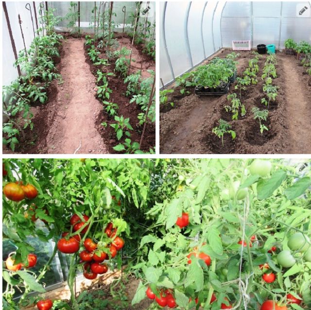 ��� ������� �������� ������� ��������� � �������: ������� � ������