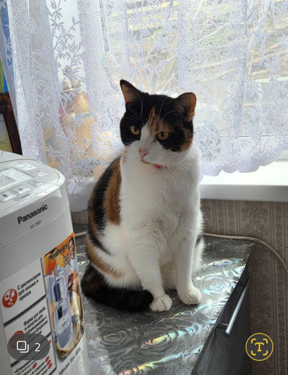 О погоде на 18 февраля. В Краснодарском крае облачно О погоде на 18 февраля. В Краснодарском крае облачно