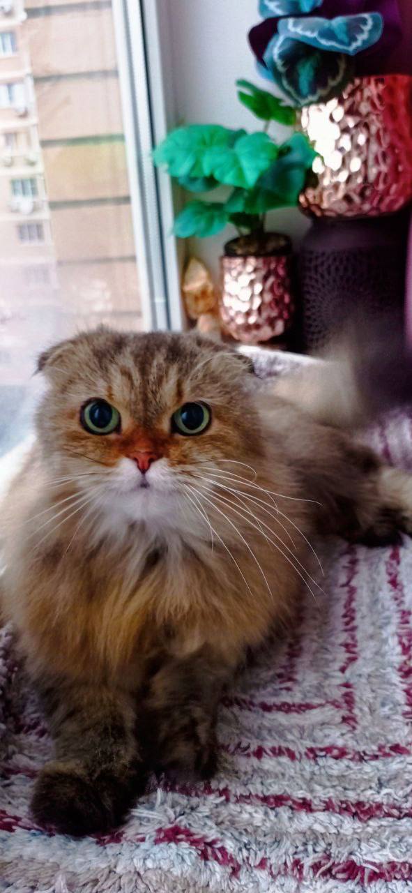 О погоде на 18 февраля. В Краснодарском крае облачно О погоде на 18 февраля. В Краснодарском крае облачно