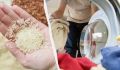 Как рис помогает решить проблемы с запахом и плесенью в стиральной машине