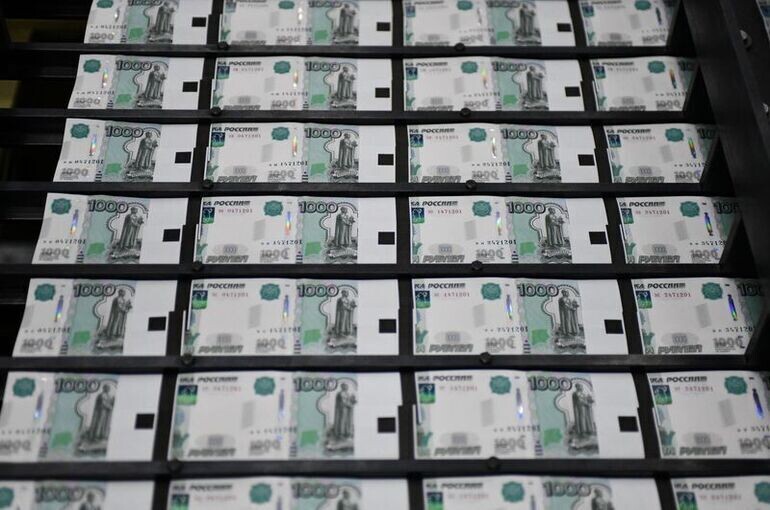 В России рассматривают создание института обязательных публичных платежей