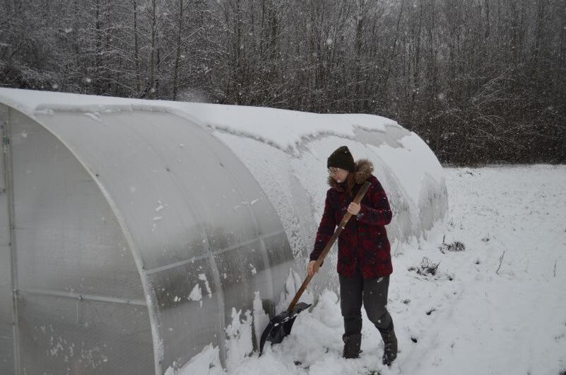 ������ ���� � ������ ���� ����� �������