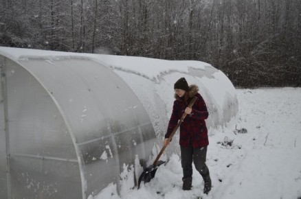 ������ ���� � ������ ���� ����� �������