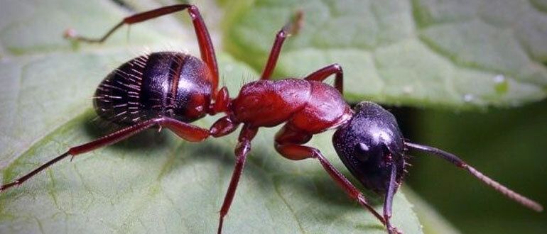 ����������� ������� ������ � ��������� �� �������