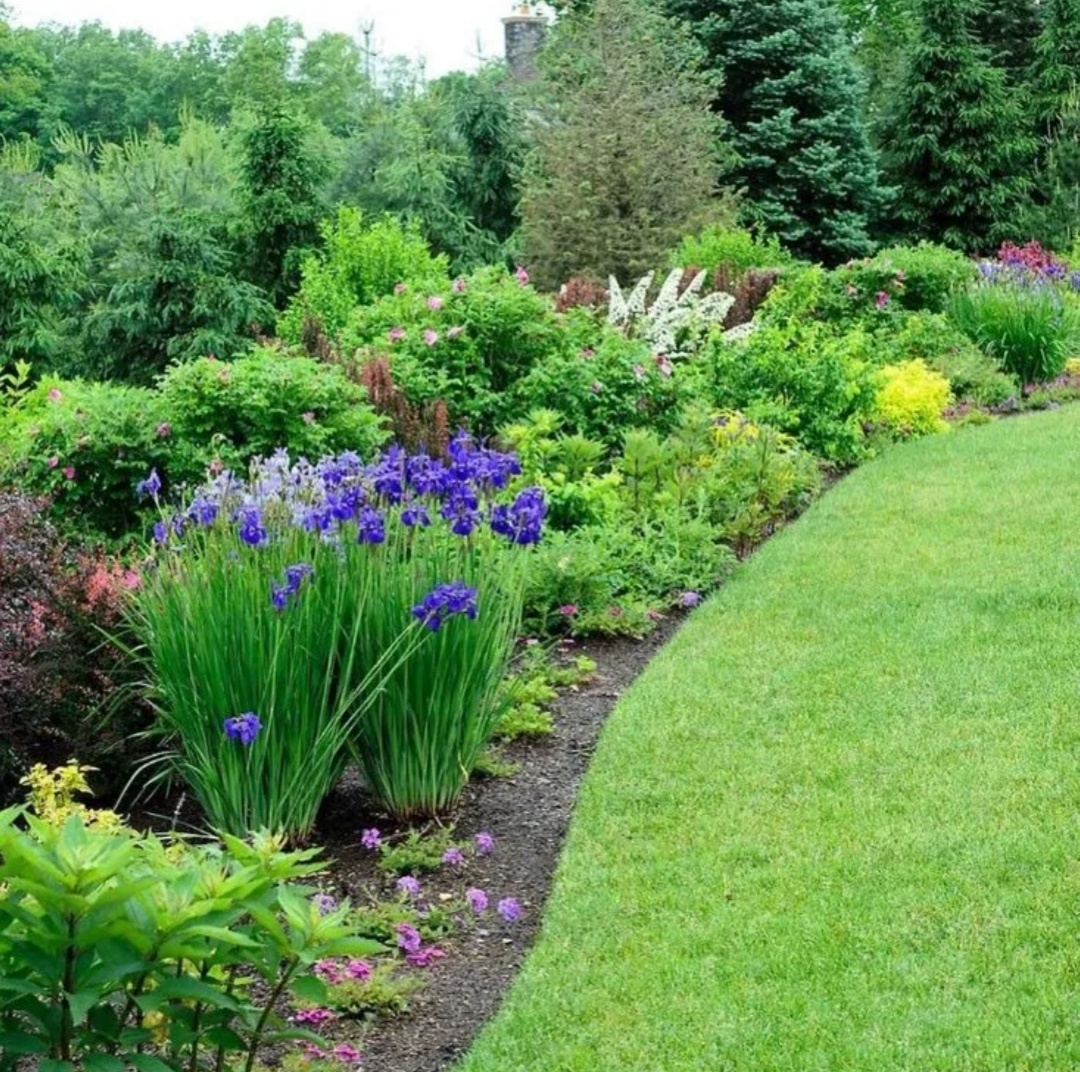 Как создать идеальный миксбордер: Советы по оформлению цветника