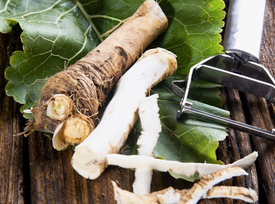 Секреты хранения хрена: как сохранить корни и листья на зиму