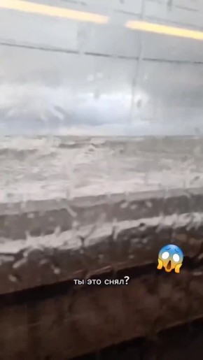 �׸���, �����: � ���� �������� ����� ������� ����������