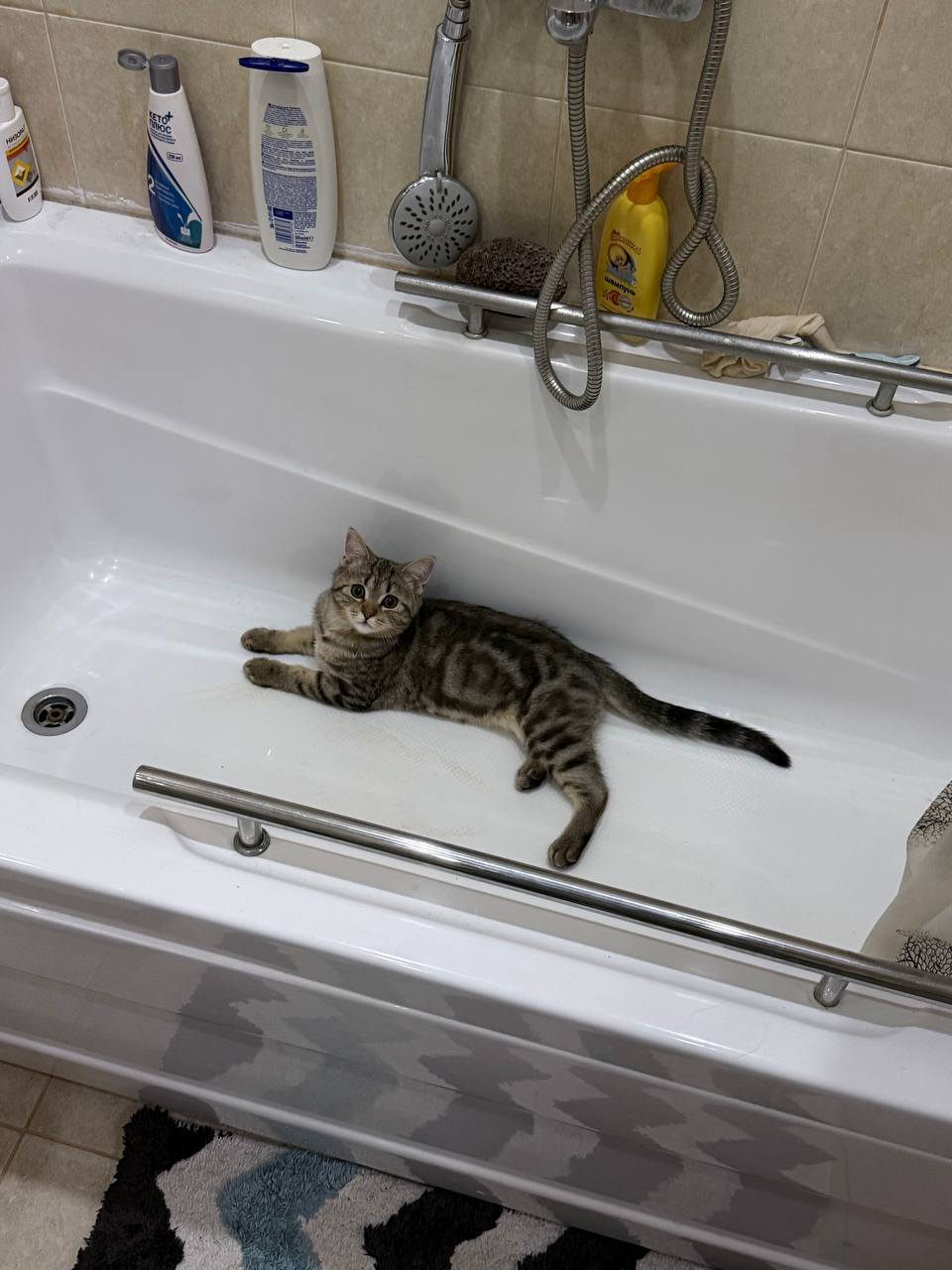 Погода в Краснодарском крае 21 февраля: Погода в Краснодарском крае 21 февраля: