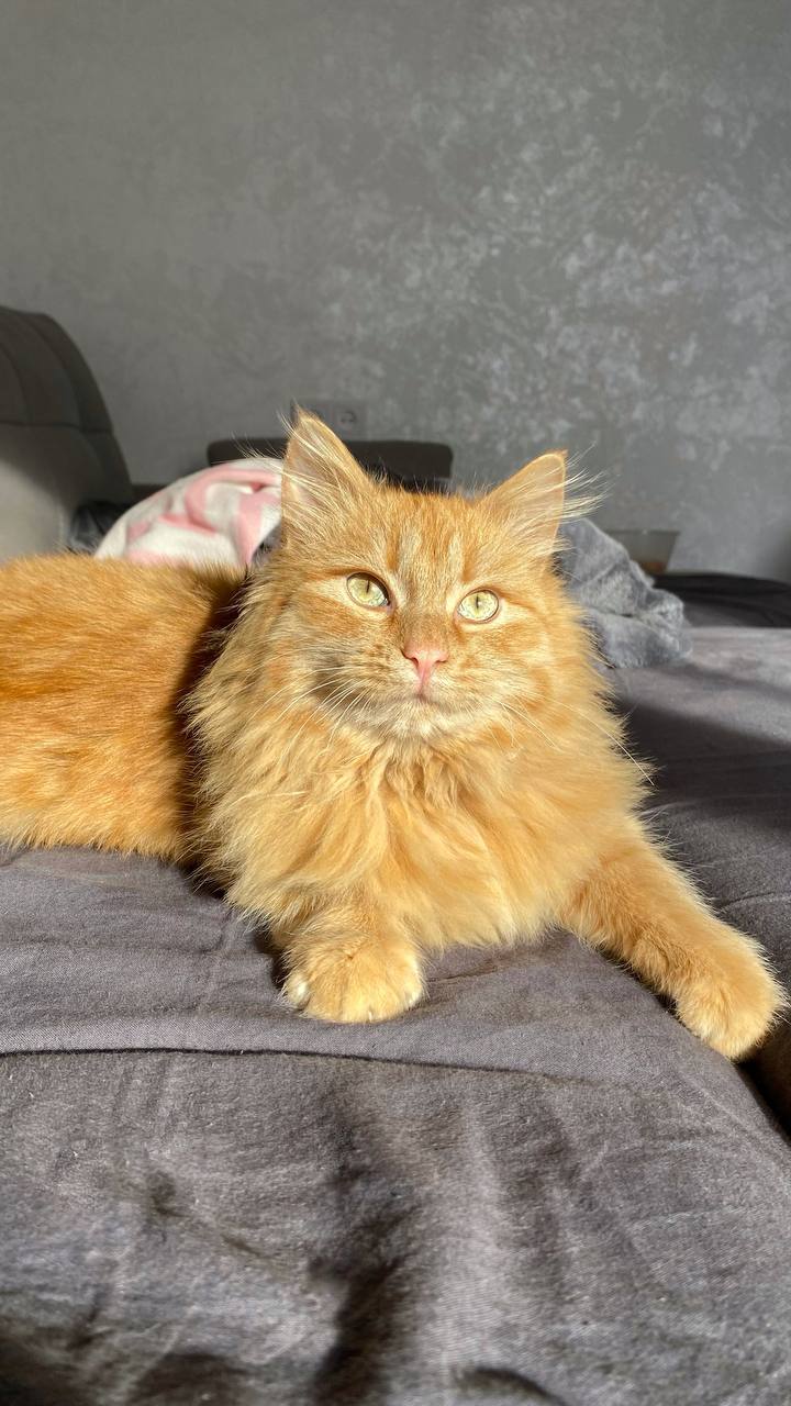 Погода в Краснодарском крае 21 февраля: Погода в Краснодарском крае 21 февраля: