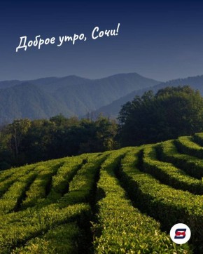 ������ ����, ����!. � 1950-� �� 70% ���� ��������� �������� �������� ������ � ����! �� ��� ������� - ������� ������ ������� ���� 24 | �� � MAX