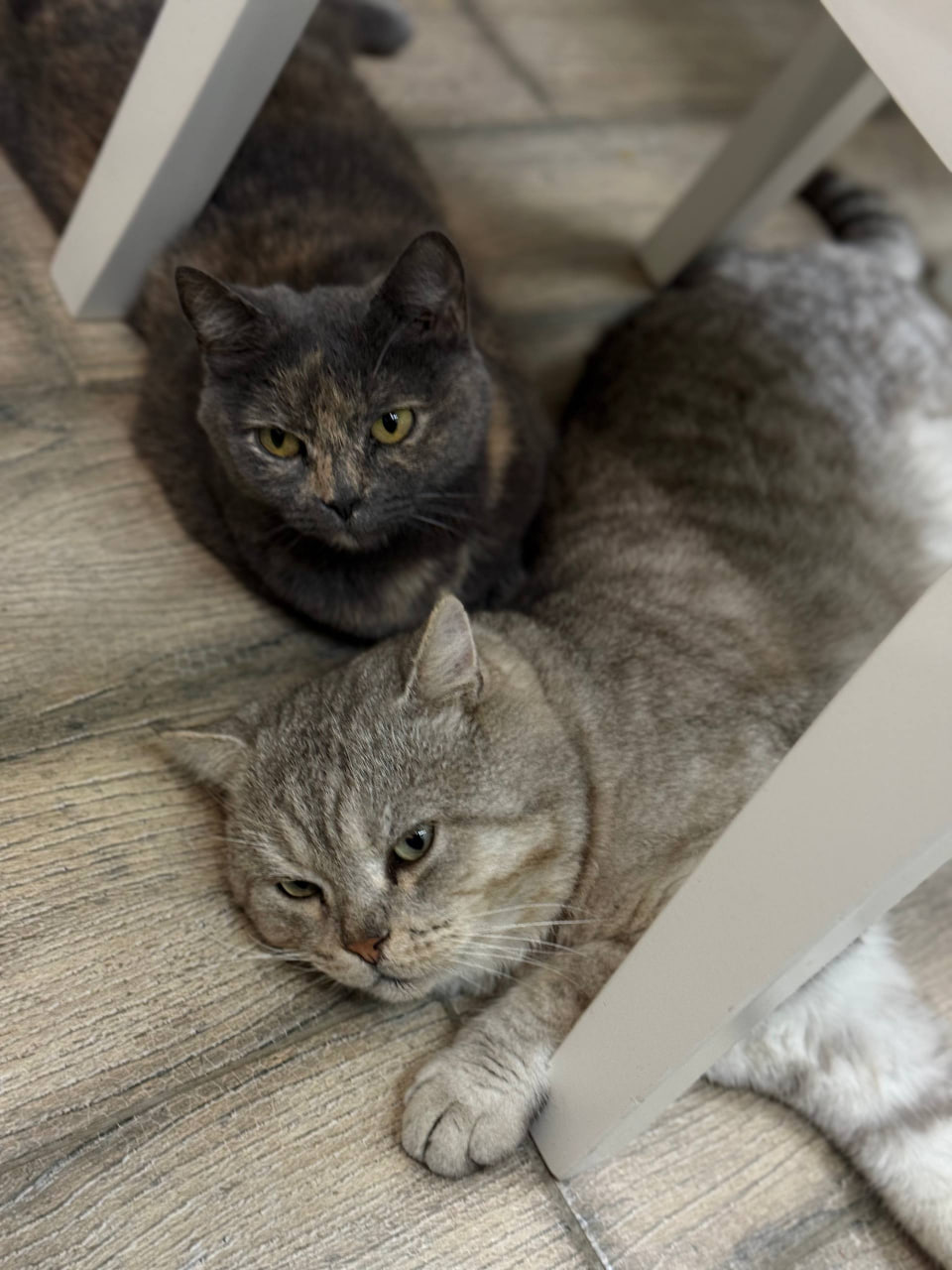 Погода в Краснодарском крае 21 февраля: Погода в Краснодарском крае 21 февраля: