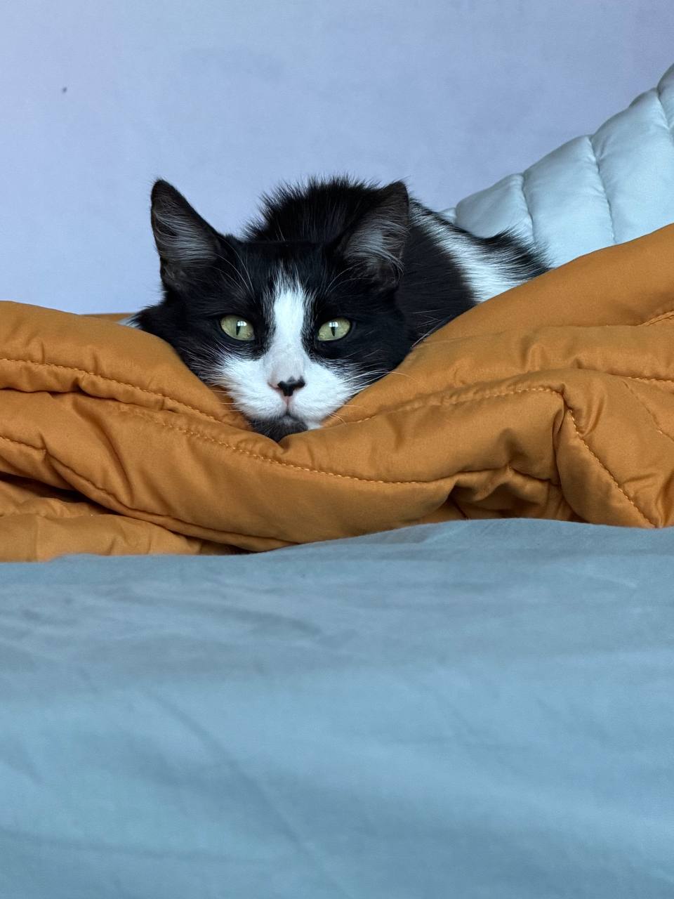 Погода в Краснодарском крае 21 февраля: Погода в Краснодарском крае 21 февраля: