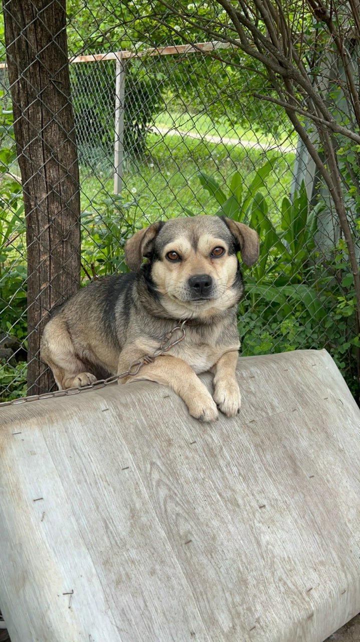 Погода в Краснодарском крае 21 февраля: Погода в Краснодарском крае 21 февраля: