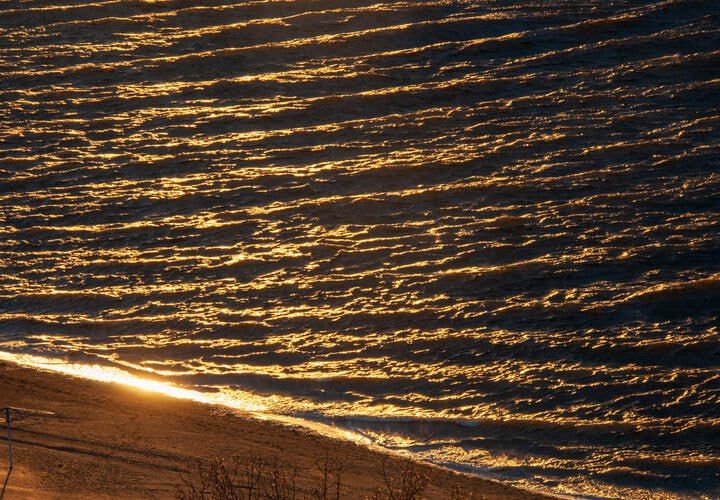 � ���� ������������ �������� �������� ����