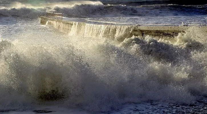 � ���� ��������� �������� �������� ����