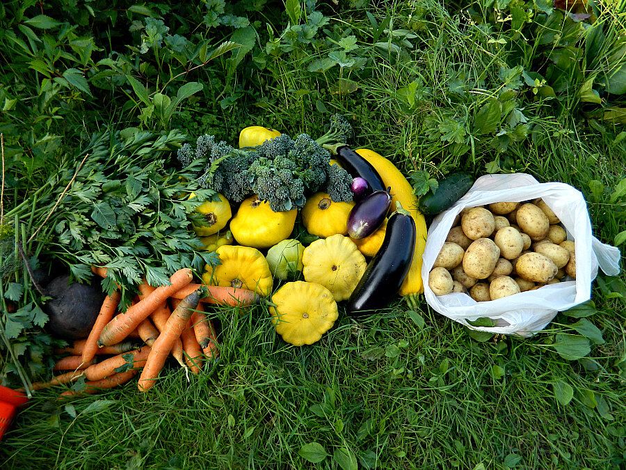 ������ � �������: ������ �� ����� �� ������� � ��������� �������