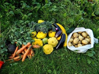 ������ � �������: ������ �� ����� �� ������� � ��������� �������