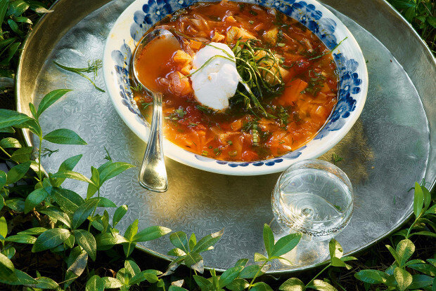 Сочные щи из молодой капусты: оригинальный рецепт с побегами чеснока