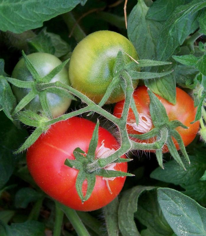 ������� � ������: ����������� ����������� ��� �����������