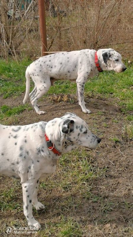 � ������ �� 22 ������� . � ������������� ���� ������� � ������������