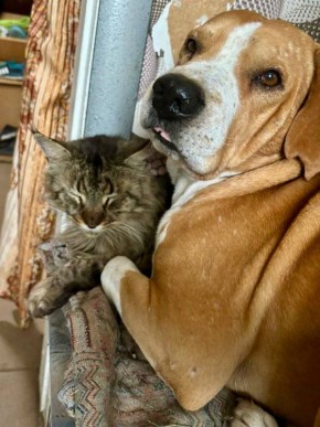 Доброе утро, Кубань!. Краснодар +10 °С