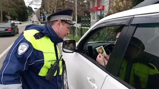 В День защитника Отечества в городе-курорте Сочи прошла профилактическая акция, объединившая юных инспекторов движения и сотрудников Госавтоинспекции