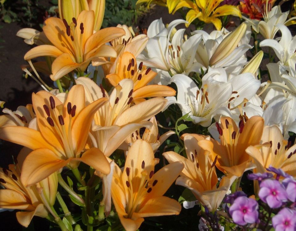 ��� ����� � ������������ ���������: ����� ����� ������� � ��� �� ���� ���������