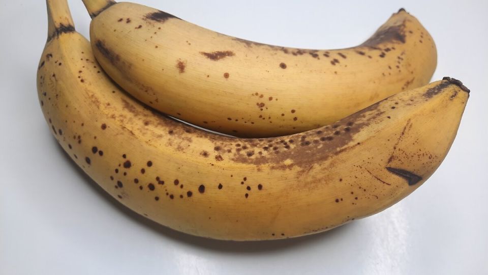 ������� ��������: ��� ��������� ������ ����� ���������� ��� ������