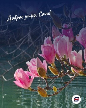 Доброе утро, Сочи!. Пусть этот день начнётся без спешки — с ясной головы, лёгкого настроения и ощущения, что впереди есть что-то приятное