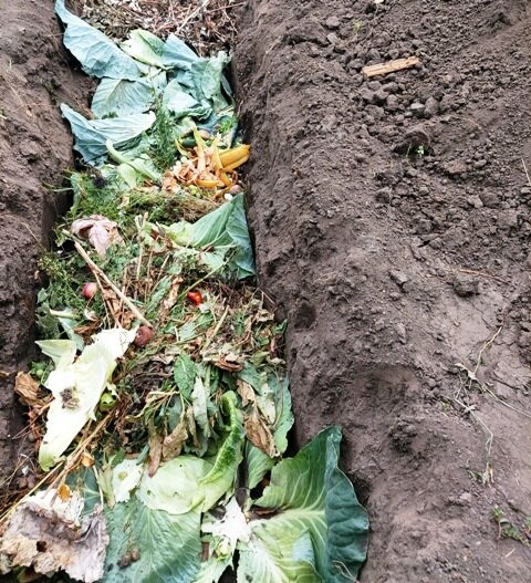 Как эффективно обработать растительный мусор после сбора урожая