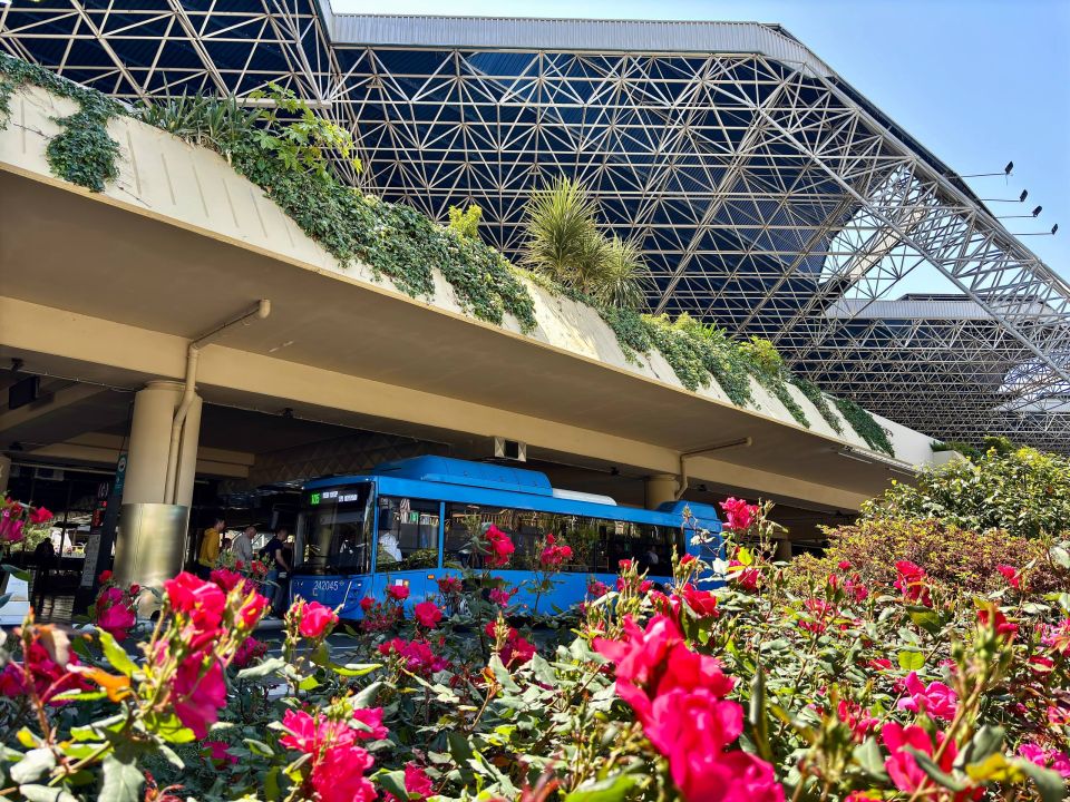 � ��������� ���� ���������� ����������� ��������� ����������� �� �����