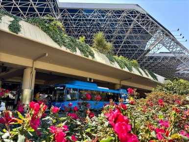 В аэропорту Сочи продолжают действовать временные ограничения на полёты