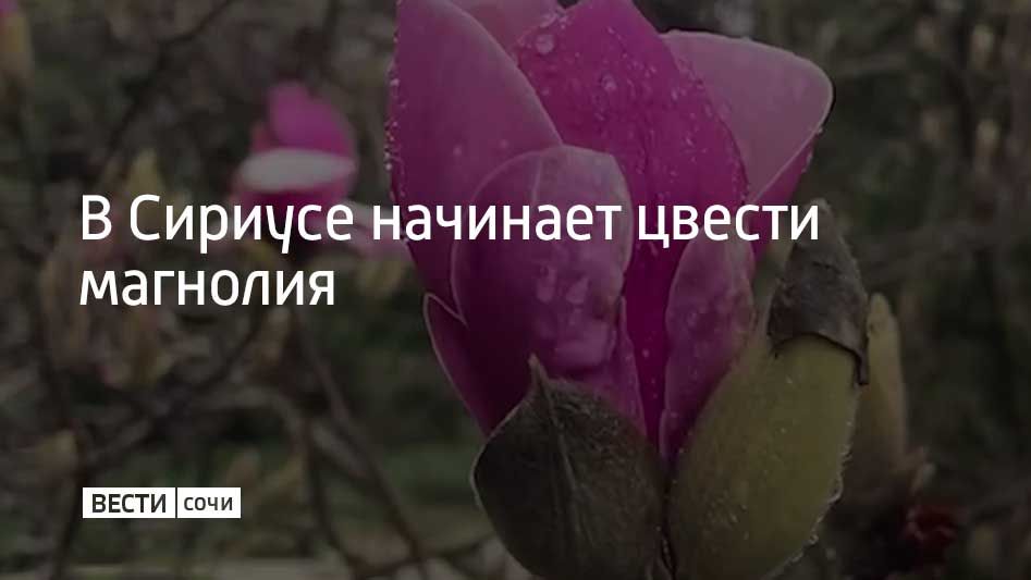 � ����� "����� ��������" �������� ������������ ������ �� �������� �������