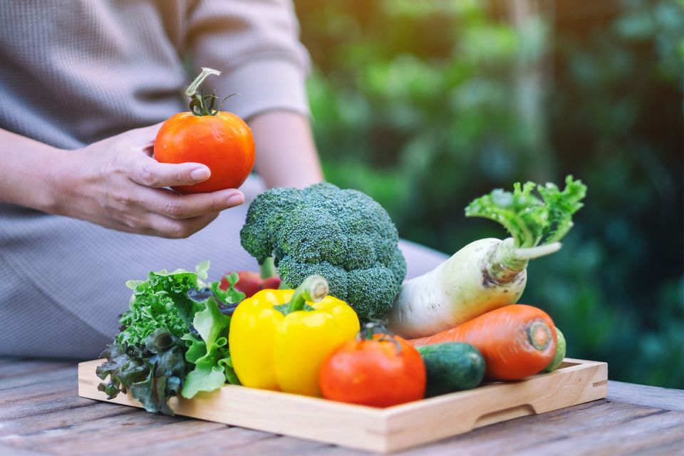 ������ ������� ���� ��������� ��������� ����������