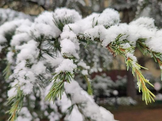 ����� � ���������� ���� ��������� ������� � ������ ����