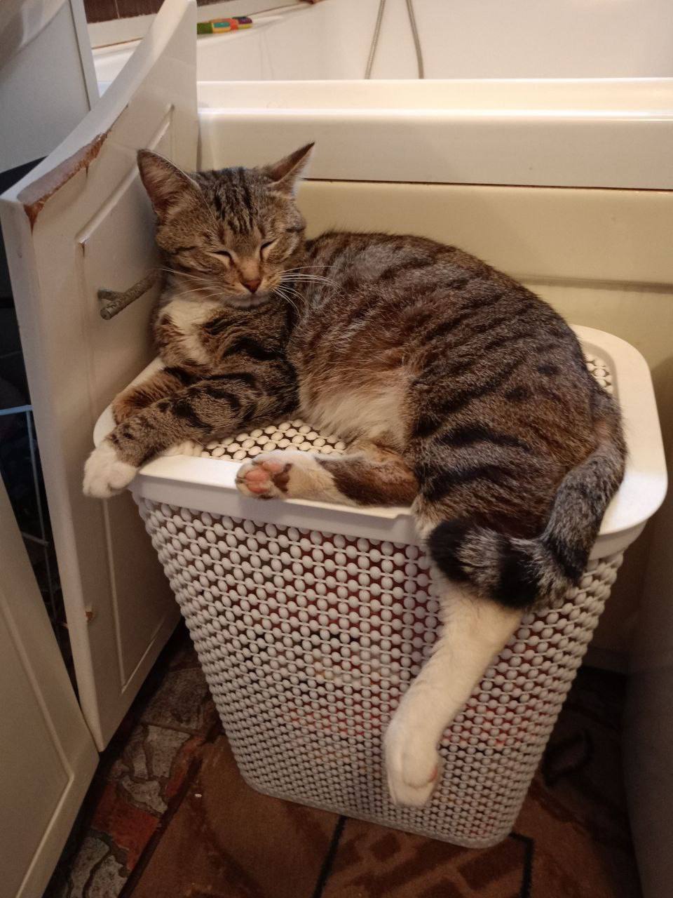 Доброе утро, Кубань!. Краснодар +7 °С Доброе утро, Кубань!. Краснодар +7 °С