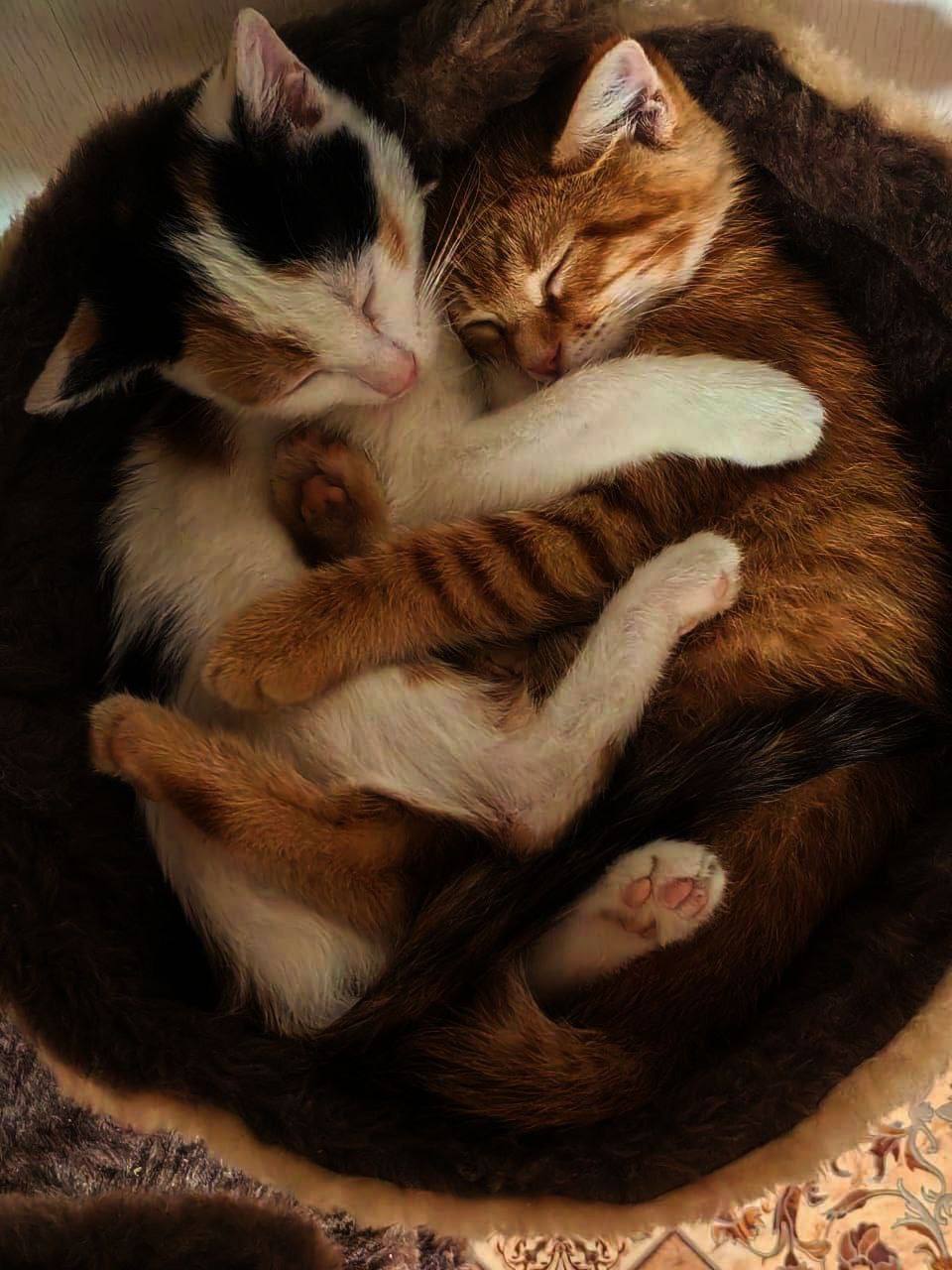 Доброе утро, Кубань!. Краснодар +7 °С Доброе утро, Кубань!. Краснодар +7 °С