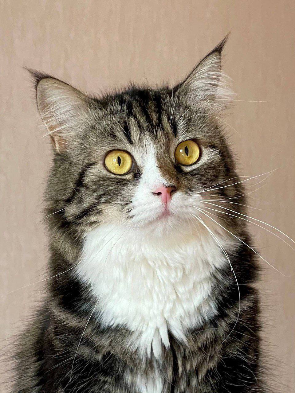 О погоде на 26 февраля . В Краснодарском крае облачно с прояснениями О погоде на 26 февраля . В Краснодарском крае облачно с прояснениями