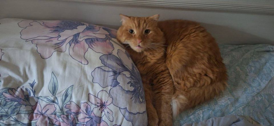 ������ ����, ������!. ��������� +7 ��