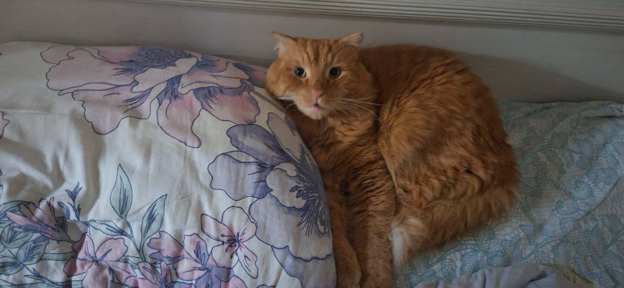 Доброе утро, Кубань!. Краснодар +7 °С