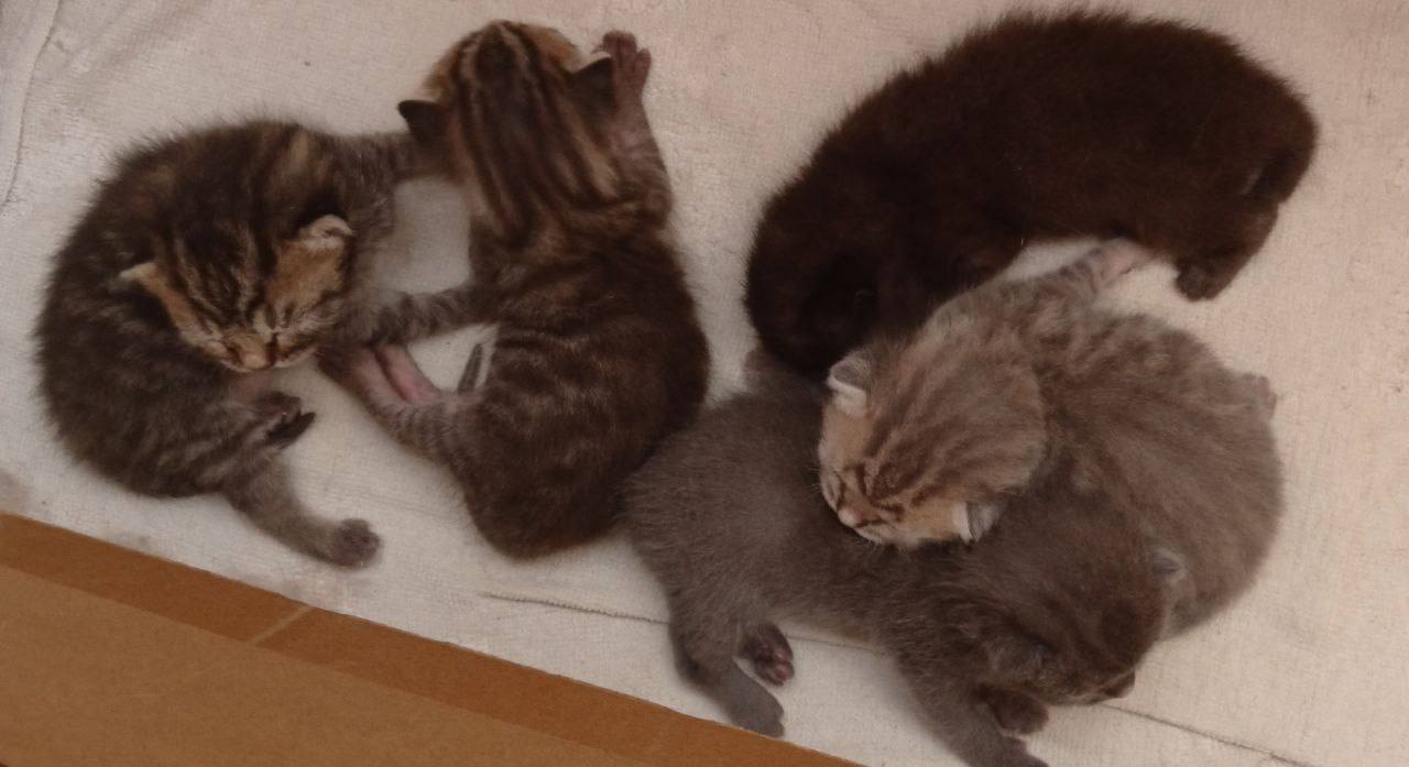 Доброе утро, Кубань!. Краснодар +7 °С Доброе утро, Кубань!. Краснодар +7 °С