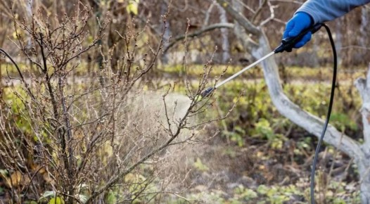 �������� ����: ��� ��������� ��������, ������� � ������� ������� ���� �������� �� ����������